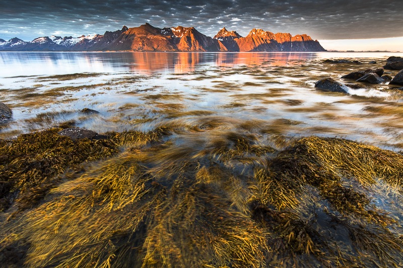 voorjaar, lofoten